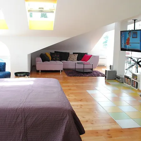 Studio Apartman Vetma *